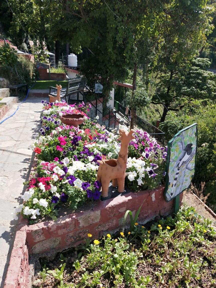 Hotel Sungrace Mussoorie Extérieur photo